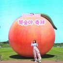 예)취암동 시민운동장 | 2025 세종 조치원복숭아축제 기본정보 주차 꿀팁 찐후기 &amp; 세종맛집, 산장가든 내돈내산