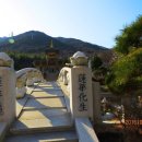 금련사유치원 이미지