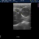 그랜드24시동물병원 이미지