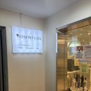 피터펫 카페 안산점 | 안산/상록수역 강아지 냄새도 안 나고 넓은 대형 안산애견카페 <피터펫안산점>