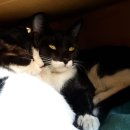 조흥자동차공업사 이미지