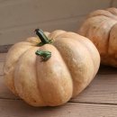 이루농장 이미지