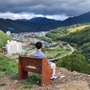 강원사슴목장 이미지