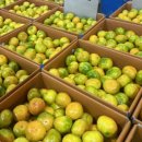 에스마켓자이점 이미지