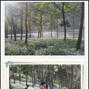 들녁천연염색