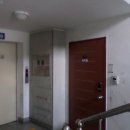 금산인삼국제시장 이미지