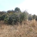 상창보건진료소 이미지