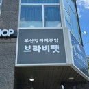 부산강아지분양 브라비펫 네이버블로그