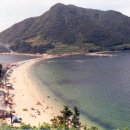 서호동-71 이미지