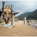 선유대 도장 이미지