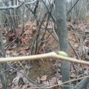 샛별안경원 이미지