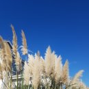 오즈카페 이미지