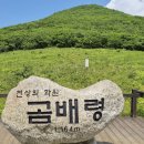 곰배령