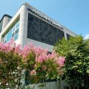 김정문화로 이미지