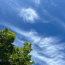 하늘그림 이미지