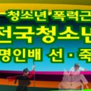 전국청소년무예대회조직위원조직표 이미지