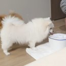 신일정수기 이미지