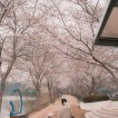 치유의숲 공중화장실 이미지