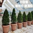 봉퓌르바게트 | 신창동 봉퓌르바게트 내돈내산 솔직 후기