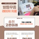 송천고은미래의원 이미지