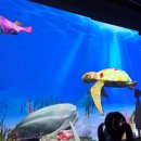 진주어린이환경박물관 이미지