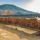 도산원탕 이미지