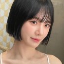 아리단 이미지