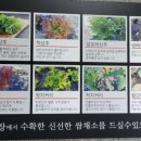 안동쌈밥 이미지
