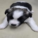 신림카정비공업사 이미지