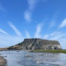 성산농원 이미지