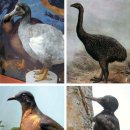 자연이야기 이미지