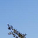 동신아파트 이미지