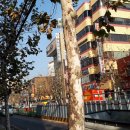 완월동194 이미지