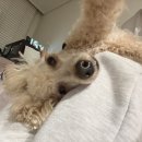 하은유치원 | 2025년 연말결산 上