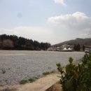 안성내츄럴리조트 오토캠핑장 이미지