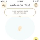280데이즈