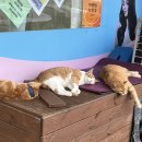 거북당구장 이미지