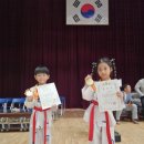 용인대홍익태권도장 이미지