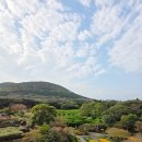 제주동쪽 | 제주 동쪽 관광지 추천 메이즈랜드 단체 방문 후기