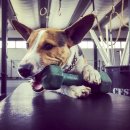 NEW GYM 네이버블로그