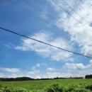 세심목장 이미지