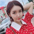 메르토스트 이미지
