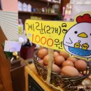 창원분식 이미지