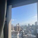 2023-0073 | [오사카, 교토] 인생 처음으로 '혼자' 다녀온 일본 여행 3박 4일, 3~4일차/ 청수사/ 교토/ 돈키호테...