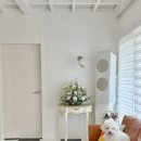 두지네 윗집 이미지