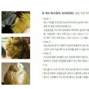 천연헤나 전문샵