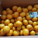 창우농장 이미지