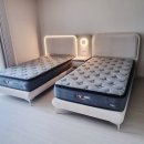 가구단지, 마산 롯데캐슬 하버팰리스 [실제 내 돈 내 산 후기] 신혼부부에게 인기 많은 라이팅 패브릭 침대