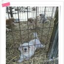 월계지구대 이미지