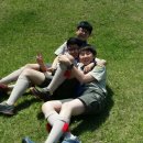 백호환경 이미지